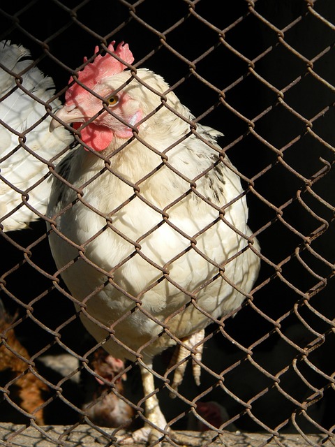 方面的操作 方面的操作