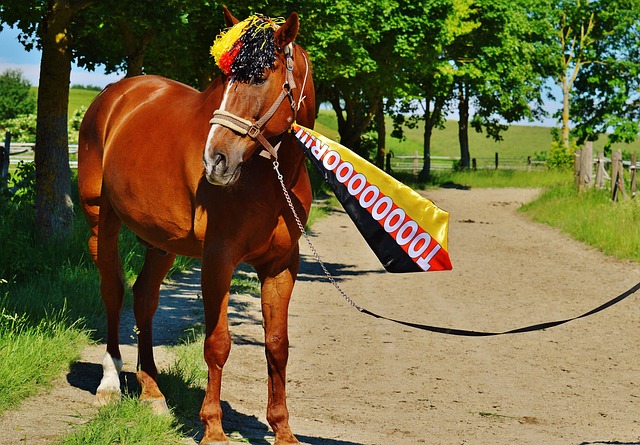 获得外界的 获得外界的